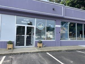 Dapper Dog Grooming Pawlor, Inc. place picture